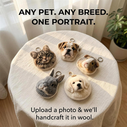 Customized pet wool felt design and production