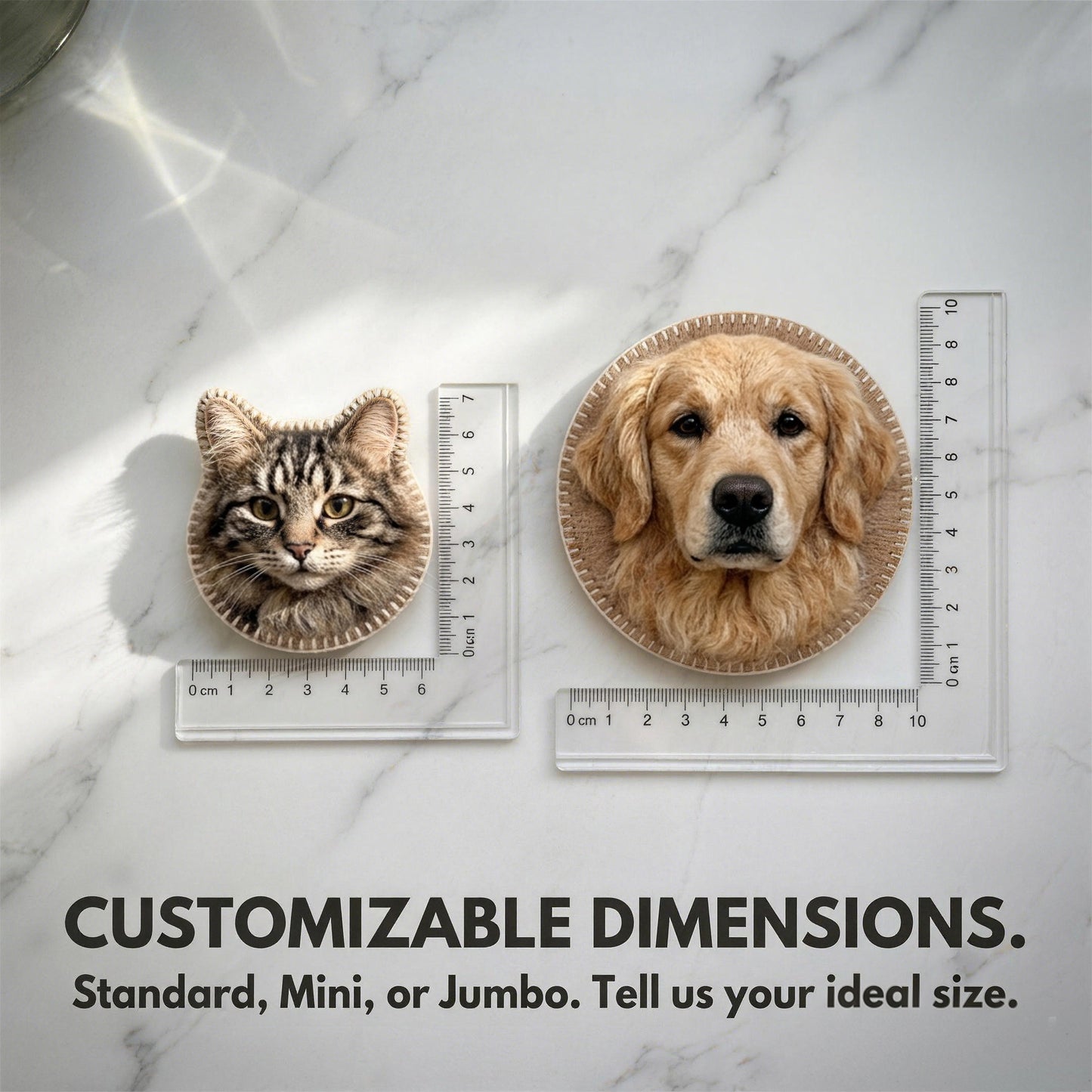 Customized pet wool felt design and production