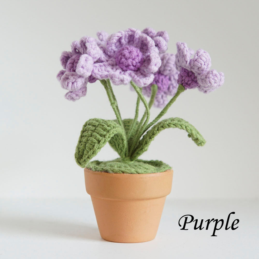 Mini Crochet Daisy Flower Pot, Finished Crochet Flowers Pot, Crocheted Plant Pot, Knitted Flowers, Home Decor, Gifts for Her,Hand Crochet