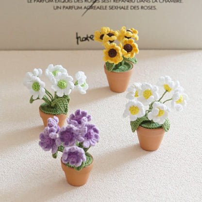 Mini Crochet Daisy Flower Pot, Finished Crochet Flowers Pot, Crocheted Plant Pot, Knitted Flowers, Home Decor, Gifts for Her,Hand Crochet