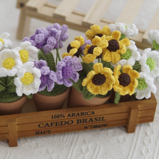 Mini Crochet Daisy Flower Pot, Finished Crochet Flowers Pot, Crocheted Plant Pot, Knitted Flowers, Home Decor, Gifts for Her,Hand Crochet