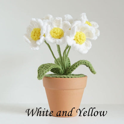 Mini Crochet Daisy Flower Pot, Finished Crochet Flowers Pot, Crocheted Plant Pot, Knitted Flowers, Home Decor, Gifts for Her,Hand Crochet