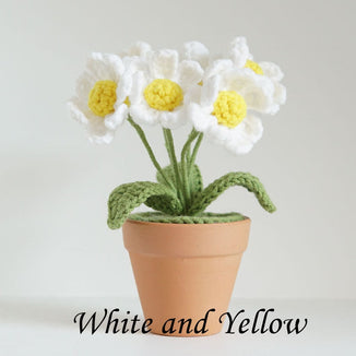 Mini Crochet Daisy Flower Pot, Finished Crochet Flowers Pot, Crocheted Plant Pot, Knitted Flowers, Home Decor, Gifts for Her,Hand Crochet