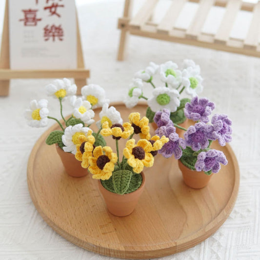 Mini Crochet Daisy Flower Pot, Finished Crochet Flowers Pot, Crocheted Plant Pot, Knitted Flowers, Home Decor, Gifts for Her,Hand Crochet